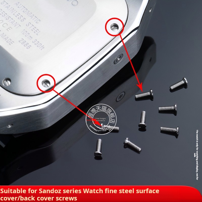 Vis en acier inoxydable massif - Cartier Watch Santos avis et prix
